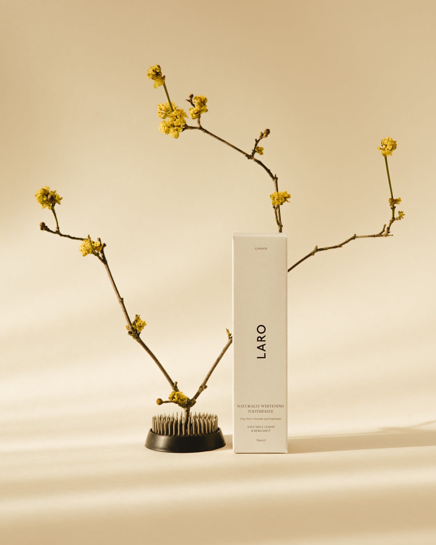 Naturally Whitening Toothpaste